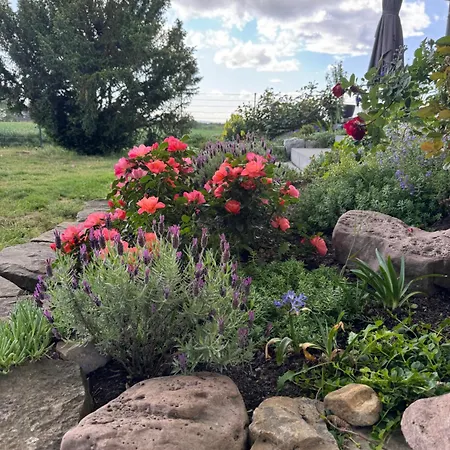 Smarte Am Bahnhof Bückeburg